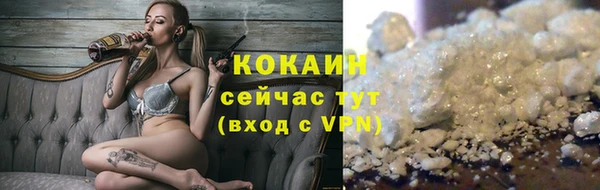 ПСИЛОЦИБИНОВЫЕ ГРИБЫ Баксан