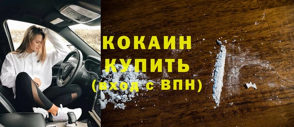 ПСИЛОЦИБИНОВЫЕ ГРИБЫ Баксан