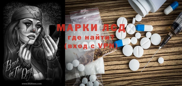 ПСИЛОЦИБИНОВЫЕ ГРИБЫ Баксан