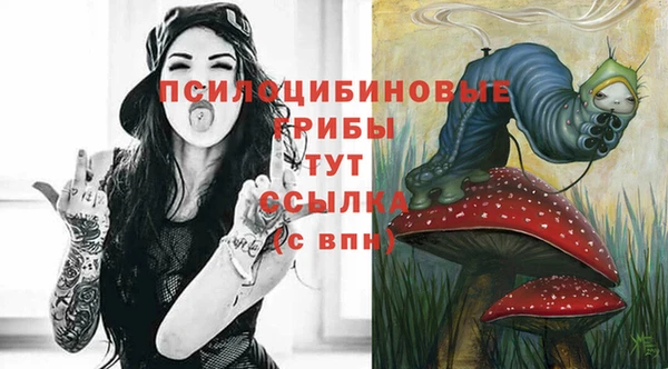 ПСИЛОЦИБИНОВЫЕ ГРИБЫ Баксан