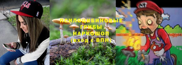 ПСИЛОЦИБИНОВЫЕ ГРИБЫ Баксан
