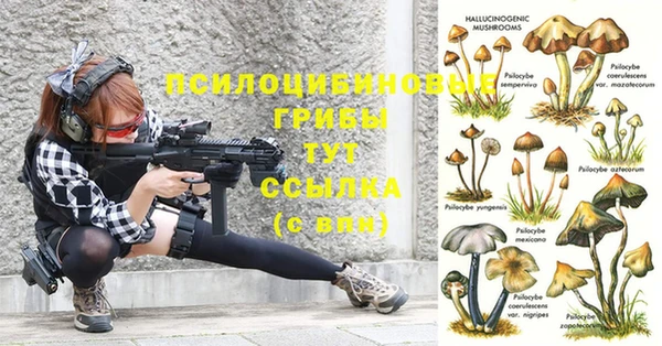 тгк Балахна